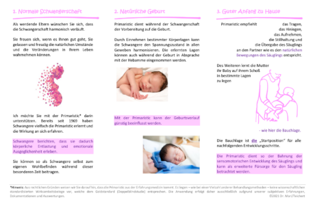 Flyer Schwangere